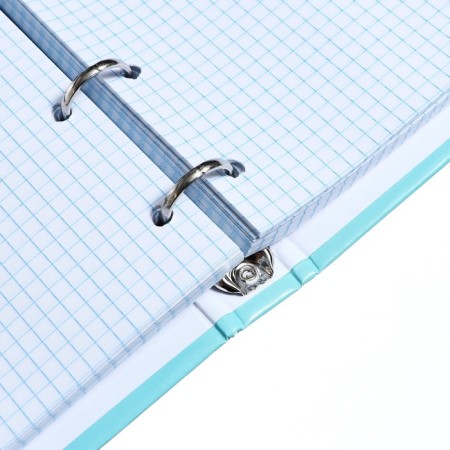 Notebook on rings, 160 sheets in the cell "ice cream", solid cover, glossy lamination, shift block 60 g/m2-4
