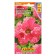 Freillitunia Flowers F1 F1 large -flowered fringe, 10 pcs