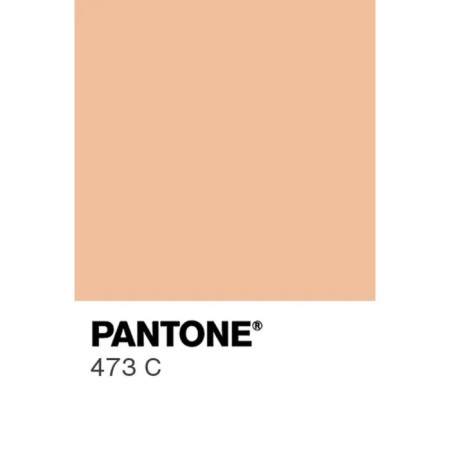 Acrylic matte paint in a 75ml Calligrata tube, km035 bodily, Panton 473C-2