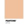 Acrylic matte paint in a 75ml Calligrata tube, km035 bodily, Panton 473C
