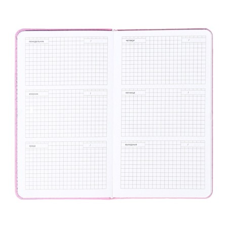 PROVING PROMMAN NOTED, 80 sheets, 100x170 mm, Devente.tailor, solid cover to leatherette with foam, snapshot, lies, block 70%, lilac-10