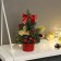 Christmas tree decor "bow" 21x11 cm