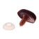 Spy screw with a plug, villous, set 2 pcs., Size 1 pcs: 2.2 × 1.5 cm