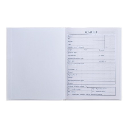Universal diary for grades 1-11, “what?”, Firm cover, glossy lamination, 40 sheets-3