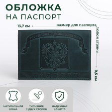 Cover for passport, green color
