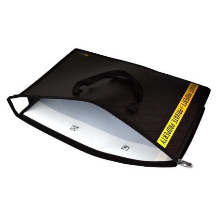 Folder for drawings and drawings A3, 450 x 330 x 90 mm, with handles, plastic, lightning from above, Phoenix "Private Property"-2