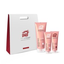 Gift set Silapant Milk for Body 250ml+Fitcore for hands 75ml+Fitcore for the legs75ml