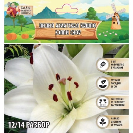 Lilia Asian Kashpo "Happy Snow", rr 12/14, 2 pcs, spring 2024