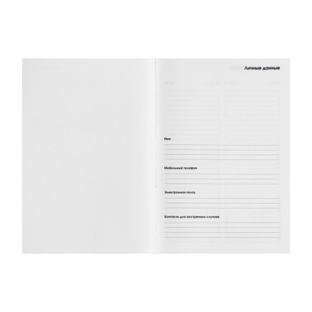 The Diary of a Leduced A5, 128 sheets "Flamingo Park", solid cover, lamination of Soft Touch, block 70 g/m2-2