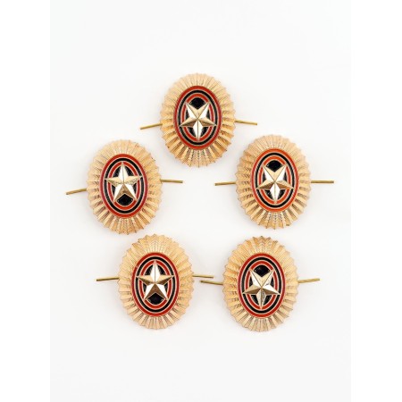Kocardia with a star is a simple oval 3x4 cm, metal, 5 pcs.-2