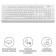 Keyboard A4Tech FSTYLER FK10 White/gray USB