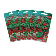 Seeds tomato com. Minibel, set 5 pcs