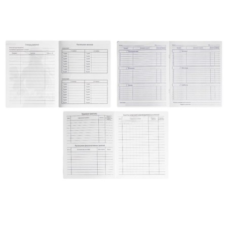 Universal diary for grades 1-11, 48 sheets on the clip "Girl Skereter", plastic cover, offset unit-3