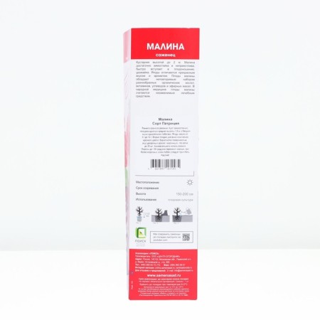 Raspberry traditional varieties "Patricia", tube, 1 pc, spring 2025-2