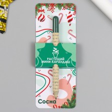 Growing gift pencils Mini 