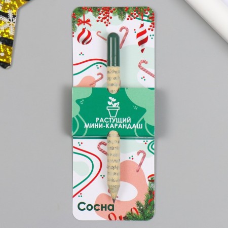 Growing gift pencils Mini "Pine"
