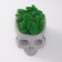 Kashpo concrete "skull" with moss lightly gray 13x9x6.5 cm (moss green stabilized)