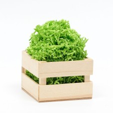 Filling paper, green linden, 500 g