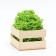 Filling paper, green linden, 500 g