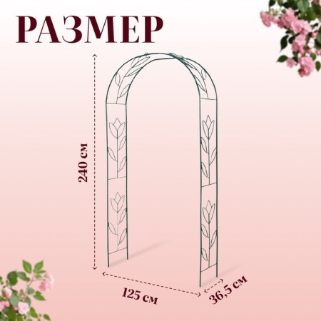 Sadovaya arch, collapsible, 230 × 125 × 36.5 cm, metal, green, "tulip"-6