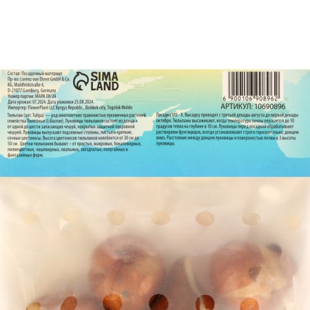 Tulip Dow Jones, Rr 11/12, 5pcs, Autumn 2024-2