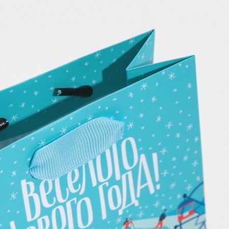 Laminated vertical packet “Waiting for a miracle”, 12 x 15 x 5.5 cm, New Year-5