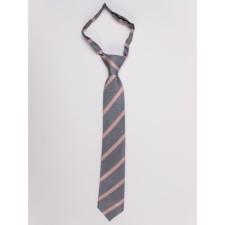 Tie for boys ise, gray color