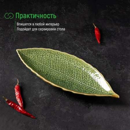 Ceramic serving dish "Dender", 26 × 10.5 × 1.5 cm, green color-3