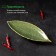 Ceramic serving dish "Dender", 26 × 10.5 × 1.5 cm, green color