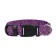 Collar with backlight leopard 3 glow modes, size L, Osh 48-60 x 2.5 cm violet