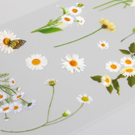 Stickers plastic "chamomile" set of 6 sheets 10x18 cm-3