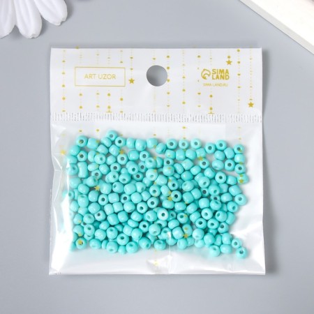 Round beads 6/0 "turquoise" 20 g-4