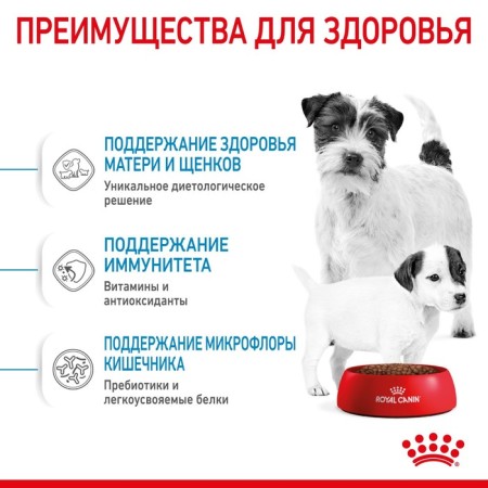 Сухой корм RC Mini Starter Mother & Babydog для щенков, 1 кг-3