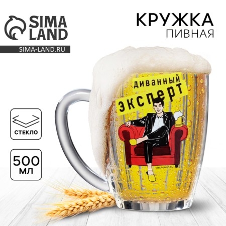 Mug Beer Nostalgia "Sofa Expert", 500 ml