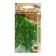 Seed caraway seeds "Eastern aroma" 0.5g*