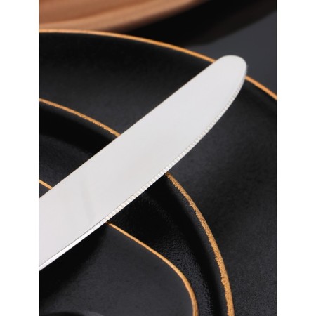 Set of cutlery "Berkeley", 4 items, silver color-4