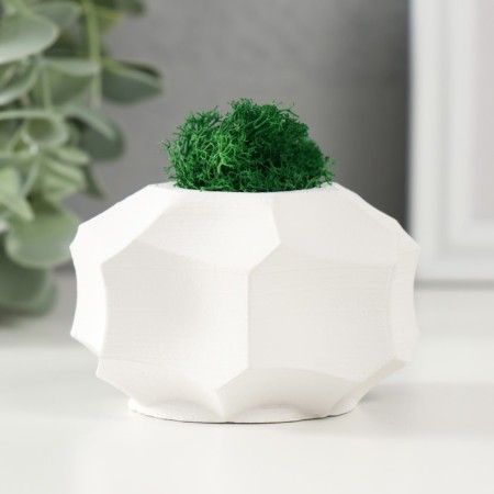 Concrete Kashpo "Glass" white 7.5x7.5x5 cm (moss green stabilized)-1