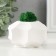 Concrete Kashpo "Glass" white 7.5x7.5x5 cm (moss green stabilized)