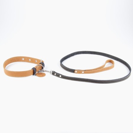 Set: collar (36-56x2.5 cm) and leash (130x1.5 cm), beige and black color-4