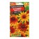 Flowers of Rudbeckia "Autumn flowers", 0.1 g