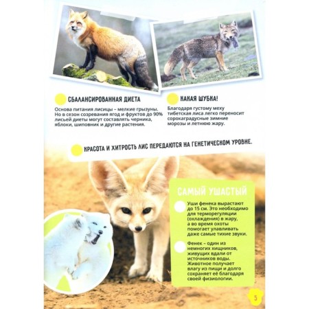 Dinosaurs. World Ocean. Insects and spider -shaped. Animals-10