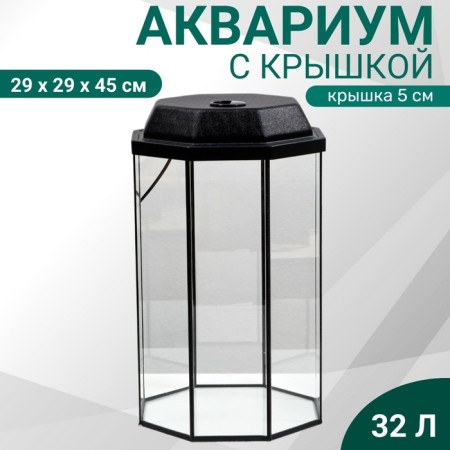 Aquarium "Binogrand" with a lid, 32 liters, 29 x 29 x 45/50 cm, black