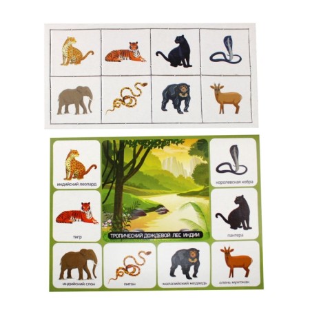 Lotto children's "Who lives where?", Big-2