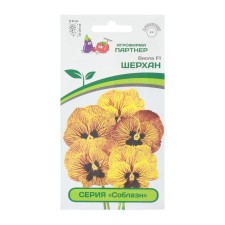Viola flowers 
