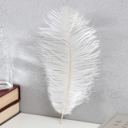 Feather of ostrich 25-30 cm, white