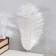 Feather of ostrich 25-30 cm, white