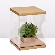 Box for flowers with a vase and PVC windows, folding, 23 x 30 x 23 cm, craft