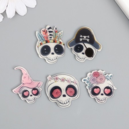 Acrylic decor "Funny Skull" MIX 3.4x3.1 cm