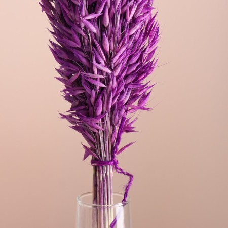 Set of dried flowers "oats", banch length 60-65 (+/- 6 cm), lilac-1