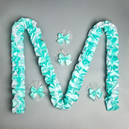 Set on the car "Guest" elite tape angle on the hood, 4 bow on pens, turquoise